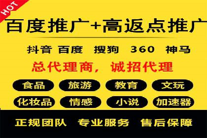 百度推广实战技巧：案例详解